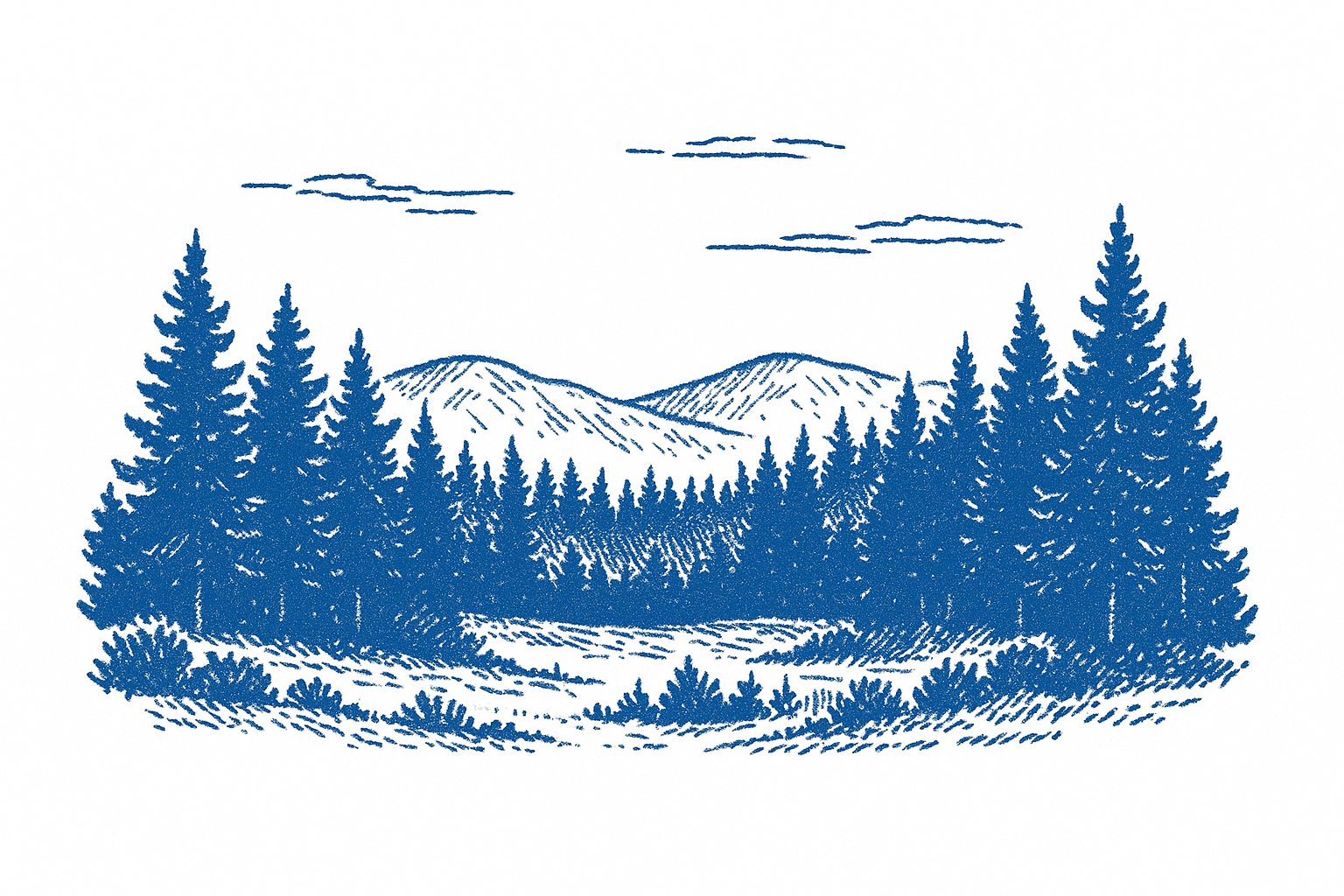 Forest Landscape